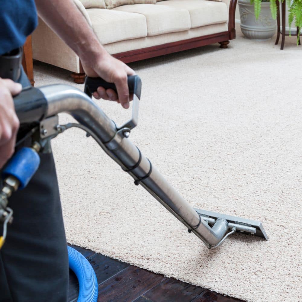 Our Mesa carpet cleaner equipment removes deep stains and odors.